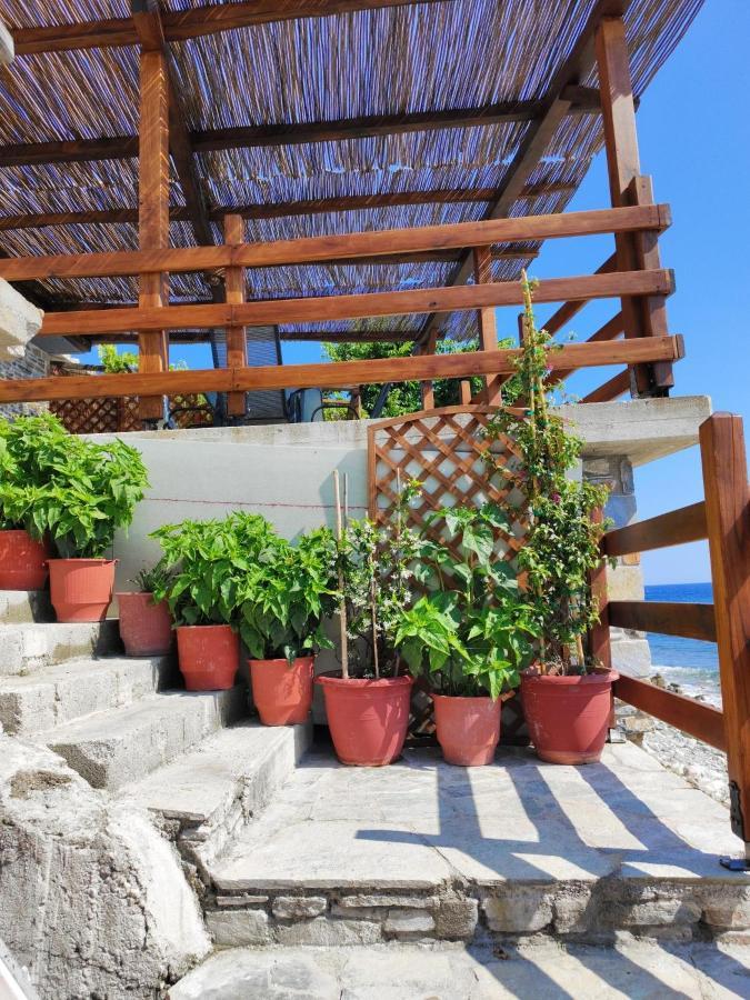 συγκρότημα διαμερισμάτων 